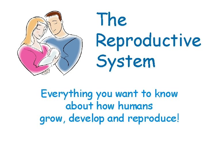 The Reproductive System Everything you want to know about how humans grow, develop and