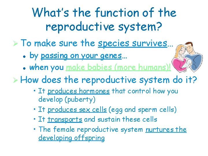 What’s the function of the reproductive system? Ø To l l make sure the