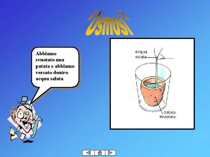 Abbiamo svuotato una patata e abbiamo versato dentro acqua salata 