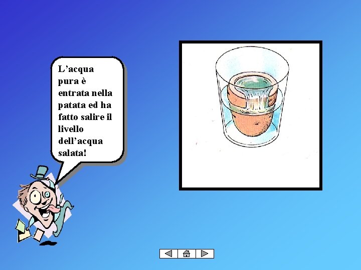 L’acqua pura è entrata nella patata ed ha fatto salire il livello dell’acqua salata!