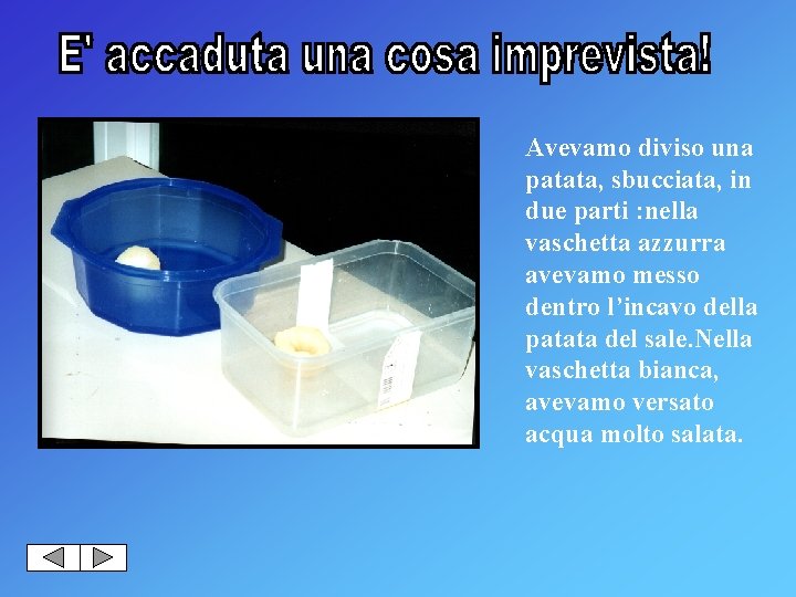 Avevamo diviso una patata, sbucciata, in due parti : nella vaschetta azzurra avevamo messo