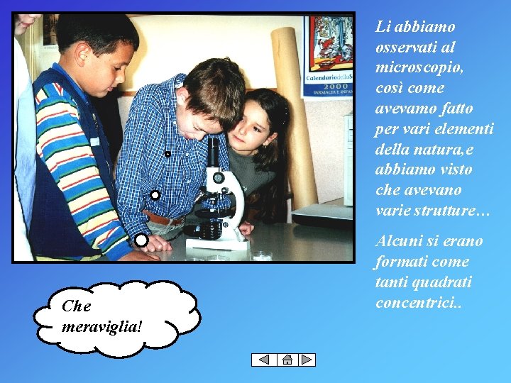 Li abbiamo osservati al microscopio, così come avevamo fatto per vari elementi della natura,