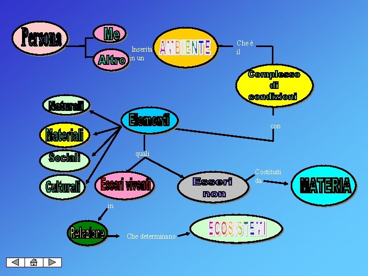 Inserita in un Che è il con quali Costituiti da in Che determinano 