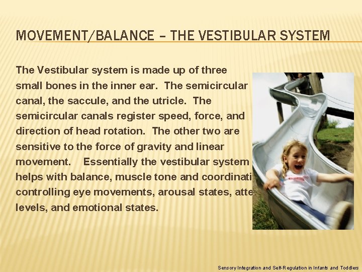 MOVEMENT/BALANCE – THE VESTIBULAR SYSTEM The Vestibular system is made up of three small