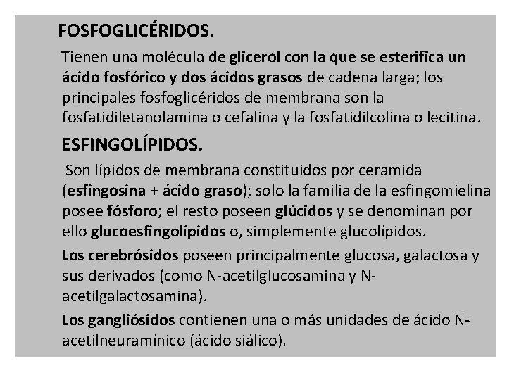 FOSFOGLICÉRIDOS. Tienen una molécula de glicerol con la que se esterifica un ácido fosfórico FOSFOGLICÉRIDOS. Tienen una molécula de glicerol con la que se esterifica un ácido fosfórico