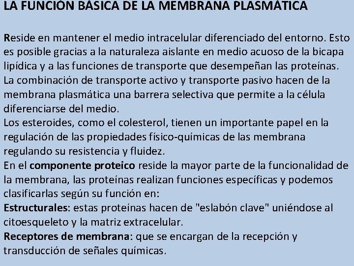 LA FUNCIÓN BÁSICA DE LA MEMBRANA PLASMÁTICA Reside en mantener el medio intracelular diferenciado LA FUNCIÓN BÁSICA DE LA MEMBRANA PLASMÁTICA Reside en mantener el medio intracelular diferenciado