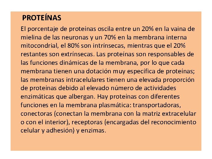 PROTEÍNAS El porcentaje de proteínas oscila entre un 20% en la vaina de mielina PROTEÍNAS El porcentaje de proteínas oscila entre un 20% en la vaina de mielina