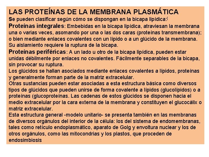 LAS PROTEÍNAS DE LA MEMBRANA PLASMÁTICA Se pueden clasificar según cómo se dispongan en LAS PROTEÍNAS DE LA MEMBRANA PLASMÁTICA Se pueden clasificar según cómo se dispongan en
