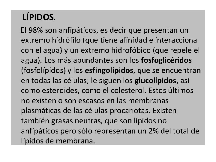 LÍPIDOS. El 98% son anfipáticos, es decir que presentan un extremo hidrófilo (que tiene LÍPIDOS. El 98% son anfipáticos, es decir que presentan un extremo hidrófilo (que tiene