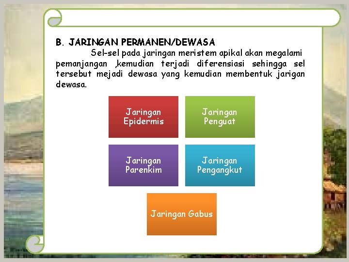 B. JARINGAN PERMANEN/DEWASA Sel-sel pada jaringan meristem apikal akan megalami pemanjangan , kemudian terjadi