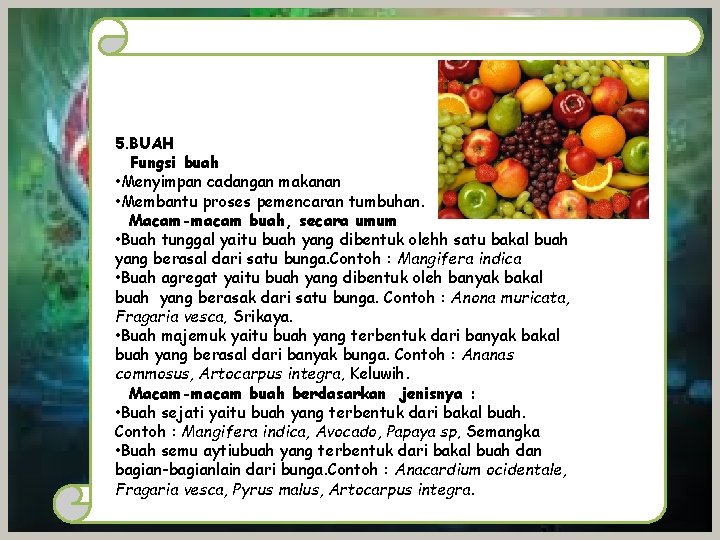 5. BUAH Fungsi buah • Menyimpan cadangan makanan • Membantu proses pemencaran tumbuhan. Macam-macam