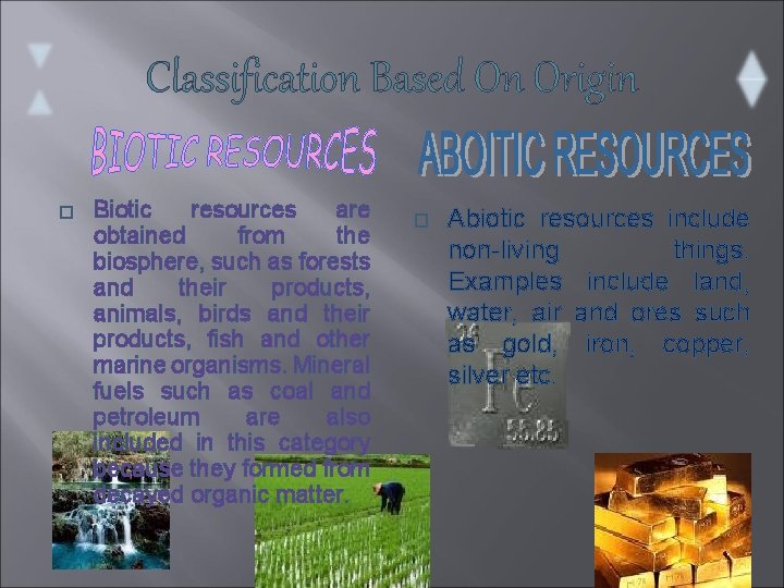 Classification Based On Origin � Biotic resources are obtained from the biosphere, such as