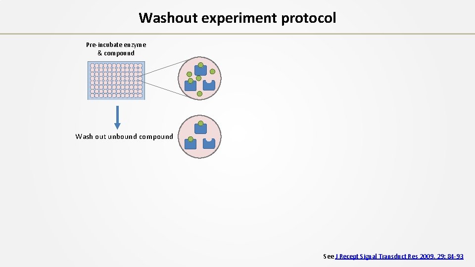 Washout experiment protocol Pre-incubate enzyme & compound Wash out unbound compound See J Recept