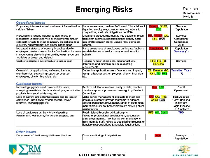 Emerging Risks 12 D R A F T FOR DISCUSSION PURPOSES Sweitser Report owner: