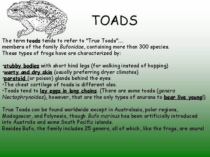 TOADS The term toads tends to refer to "True Toads". . members of the