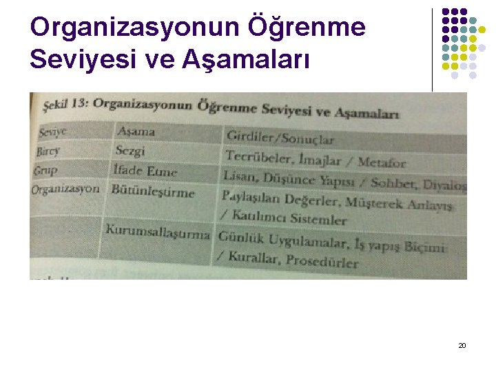 Organizasyonun Öğrenme Seviyesi ve Aşamaları 20 