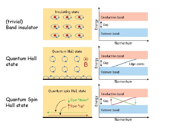 (trivial) Band insulator Quantum Hall state Quantum Spin Hall state 