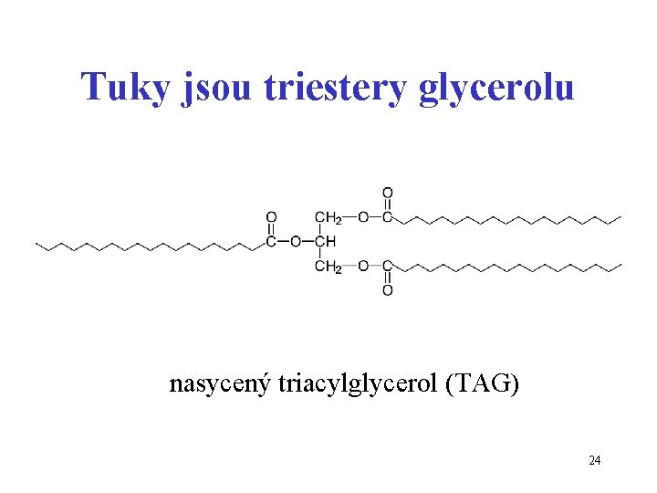 Tuky jsou triestery glycerolu nasycený triacylglycerol (TAG) 24 