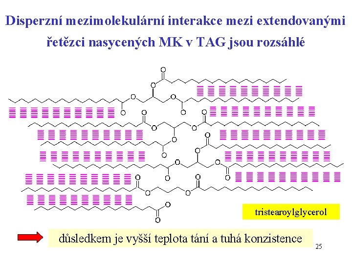 Disperzní mezimolekulární interakce mezi extendovanými řetězci nasycených MK v TAG jsou rozsáhlé tristearoylglycerol důsledkem