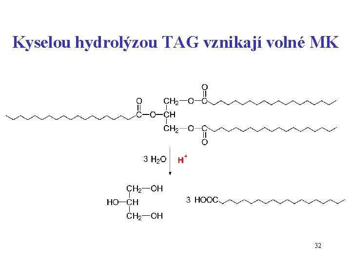 Kyselou hydrolýzou TAG vznikají volné MK 32 