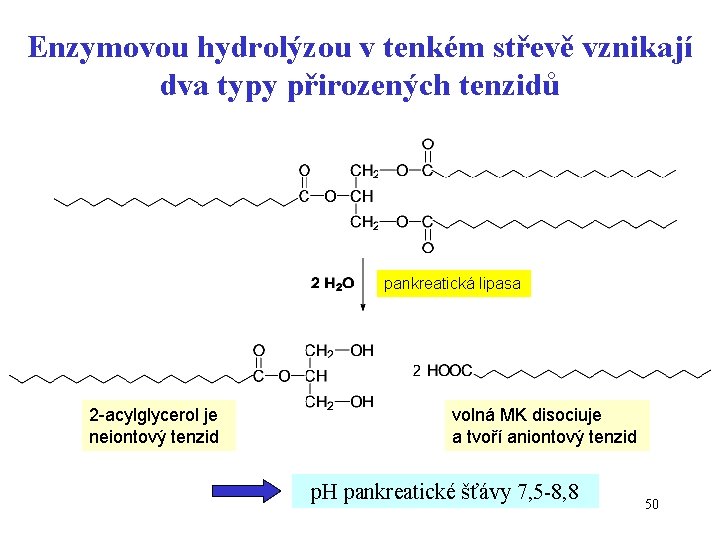 Enzymovou hydrolýzou v tenkém střevě vznikají dva typy přirozených tenzidů pankreatická lipasa 2 -acylglycerol