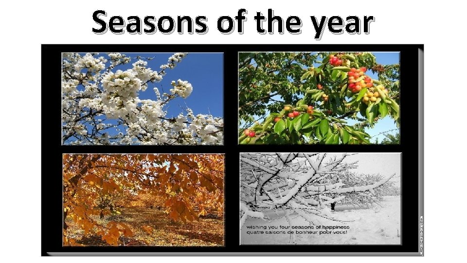 Seasons of the year 