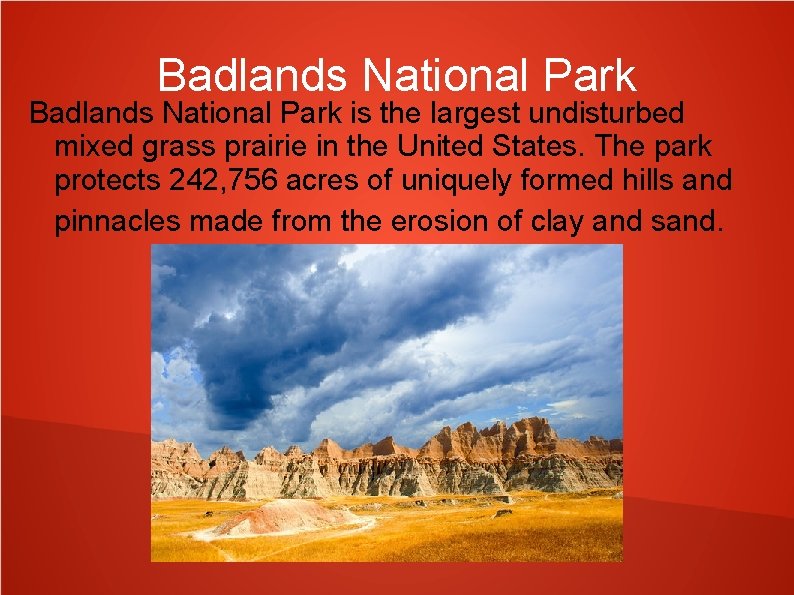 Badlands National Park is the largest undisturbed mixed grass prairie in the United States.