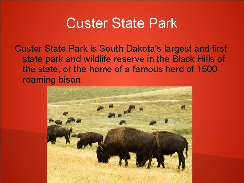 Custer State Park is South Dakota's largest and first state park and wildlife reserve