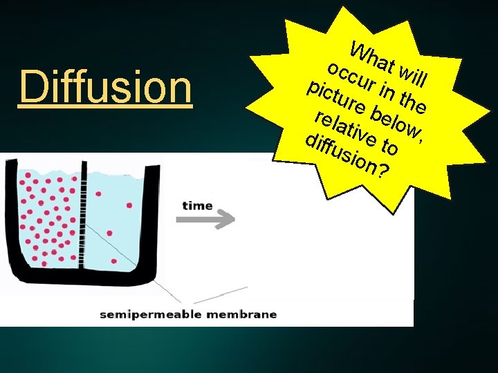 Diffusion Wh occ at w pic ur in ill ture the rela belo w