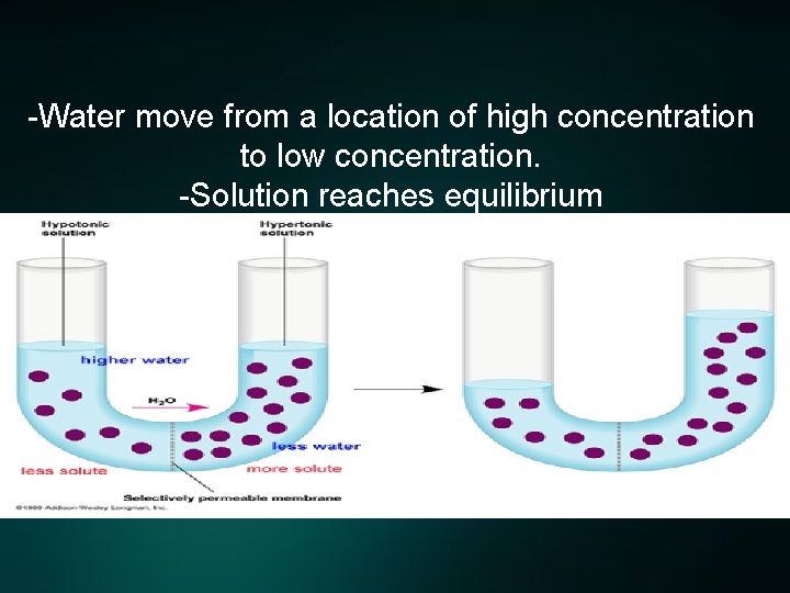 -Water move from a location of high concentration to low concentration. -Solution reaches equilibrium