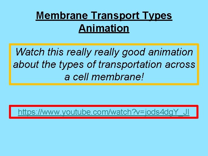 Membrane Transport Types Animation Watch this really good animation about the types of transportation