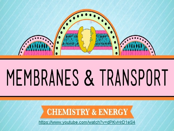 https: //www. youtube. com/watch? v=d. PKv. Hr. D 1 e. S 4 