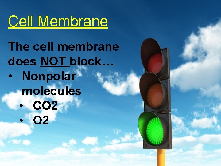 Cell Membrane The cell membrane does NOT block… • Nonpolar molecules • CO 2