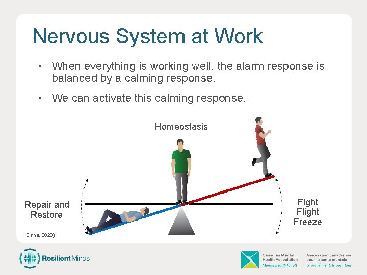Nervous System at Work • When everything is working well, the alarm response is