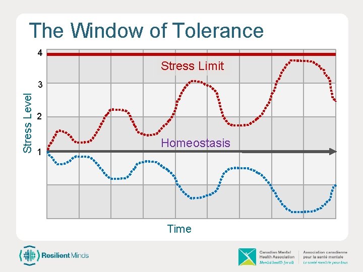The Window of Tolerance 4 Stress Limit Stress Level 3 2 1 Homeostasis Time