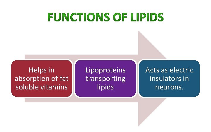 Helps in absorption of fat soluble vitamins Lipoproteins transporting lipids Acts as electric insulators Helps in absorption of fat soluble vitamins Lipoproteins transporting lipids Acts as electric insulators