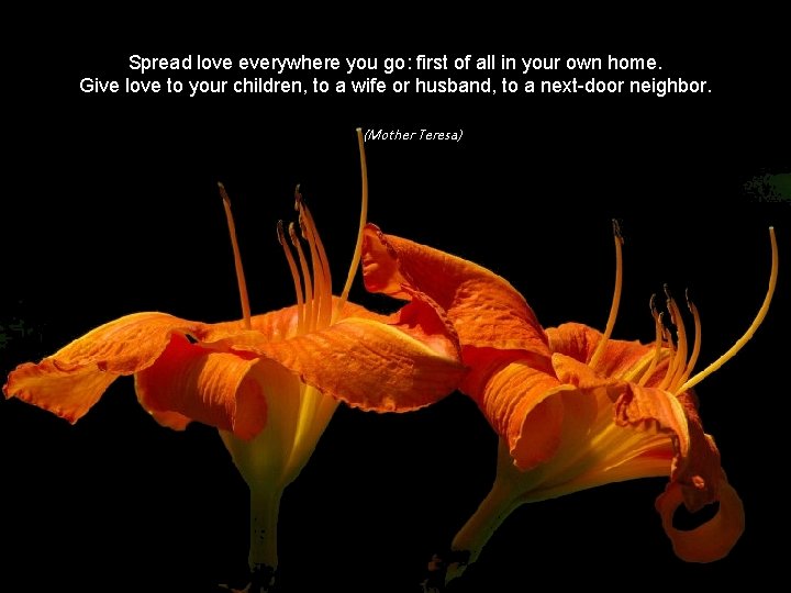 Spread love everywhere you go: first of all in your own home. Give love