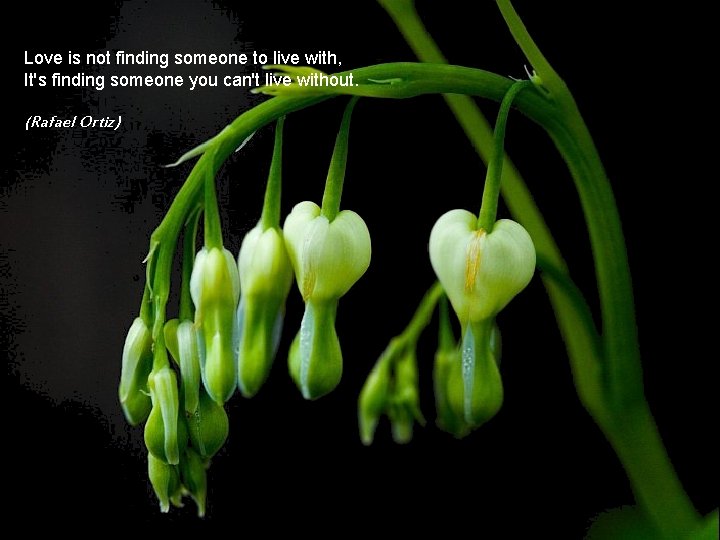 Love is not finding someone to live with, It's finding someone you can't live
