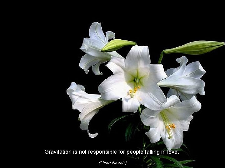 Gravitation is not responsible for people falling in love. (Albert Einstein) 