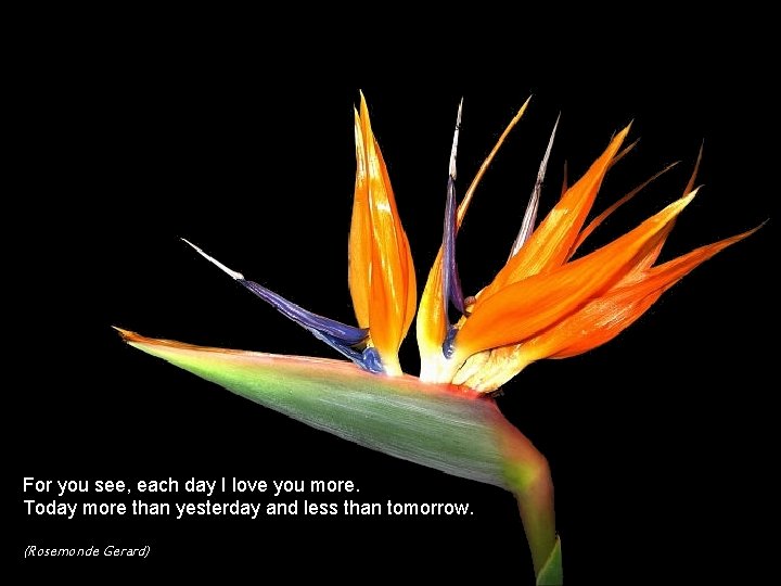 For you see, each day I love you more. Today more than yesterday and