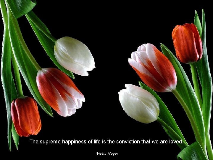 The supreme happiness of life is the conviction that we are loved. (Victor Hugo)