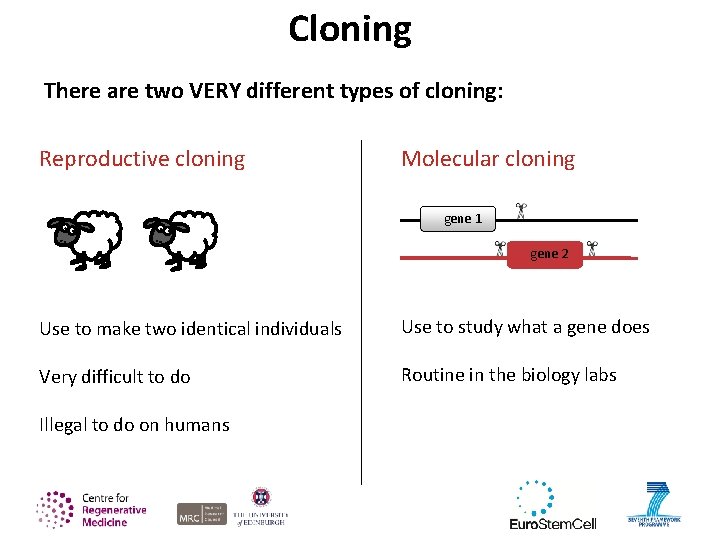 Cloning There are two VERY different types of cloning: Reproductive cloning Molecular cloning gene