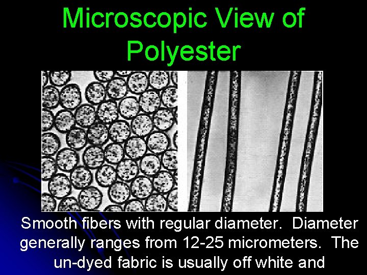 Microscopic View of Polyester Smooth fibers with regular diameter. Diameter generally ranges from 12