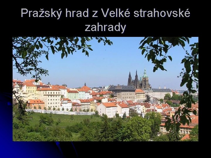 Pražský hrad z Velké strahovské zahrady 