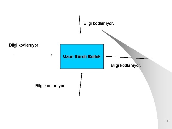 Bilgi kodlanıyor. Uzun Süreli Bellek Bilgi kodlanıyor 33 