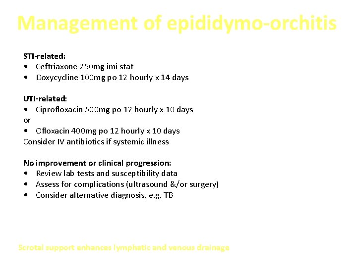 Management of epididymo-orchitis STI-related: • Ceftriaxone 250 mg imi stat • Doxycycline 100 mg