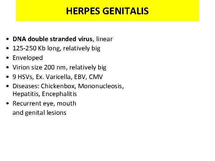 HERPES GENITALIS • • • DNA double stranded virus, linear 125 -250 Kb long,