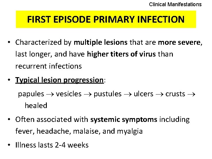 Clinical Manifestations FIRST EPISODE PRIMARY INFECTION • Characterized by multiple lesions that are more