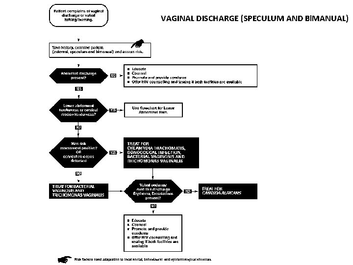 VAGINAL DISCHARGE (SPECULUM AND Bl. MANUAL) 