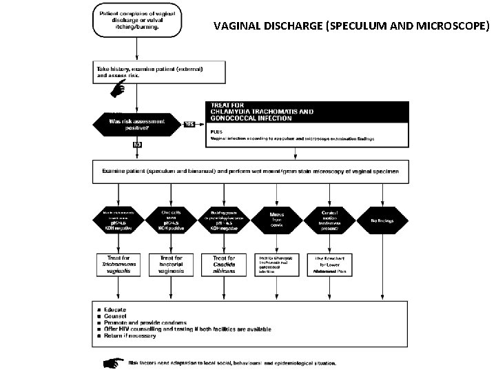 VAGINAL DISCHARGE (SPECULUM AND MICROSCOPE) 